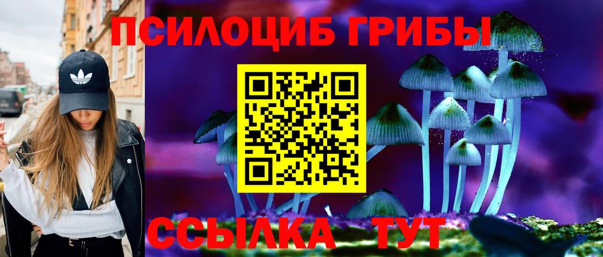 Санкт-Петербург  Галлюциногенные грибы Cubensis  Вход с VPN 
